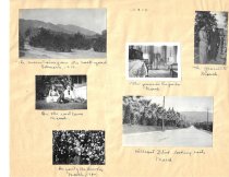 409 W Hillcrest orchard and interior parlor.